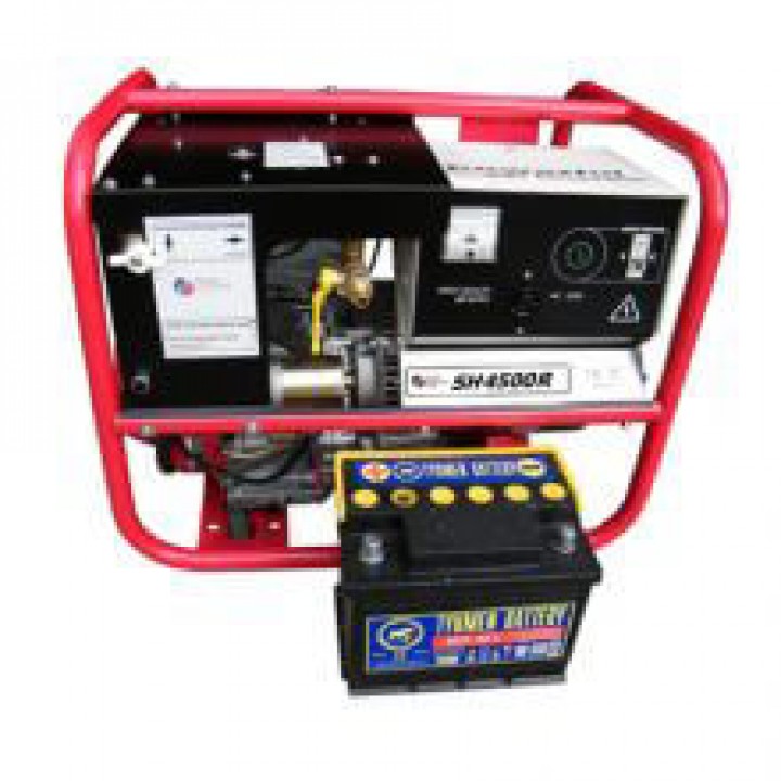 Генератор газовый REG SH4500R